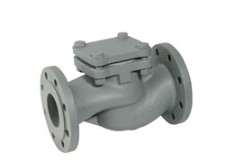 NON REVERSE VALVE